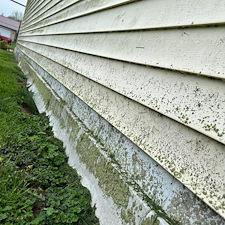 Full-House-Wash-Project-Soft-Washing-Vinyl-Siding-Window-Trim 3